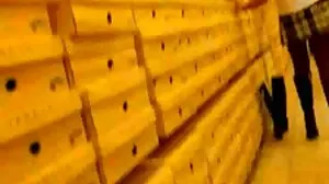 Darla a porno mari et femme commencé à sucer Xander