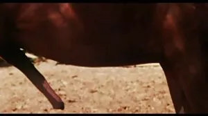 Step sis teen tabou branler porno maman mature